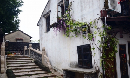 广东织密党建网格 引领乡村善治